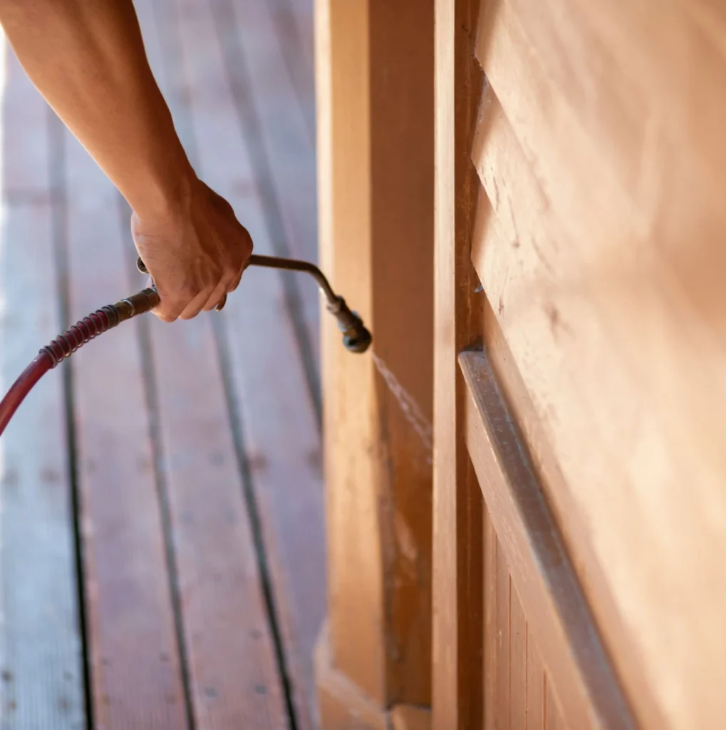 Trusted Pest Control - Sewell Pest Control Pros | Sewell, NJ | 856-699-2090